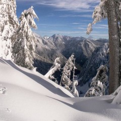 Crown Mountain: Powder Pushers