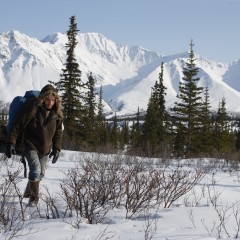 Into the Wild: the film, book and idea