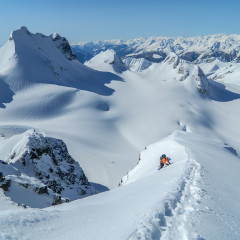 Joffre, Matier and personal milestones