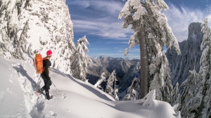 Winter Crown