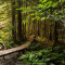 Running the Arc’teryx Squamish 50 23k