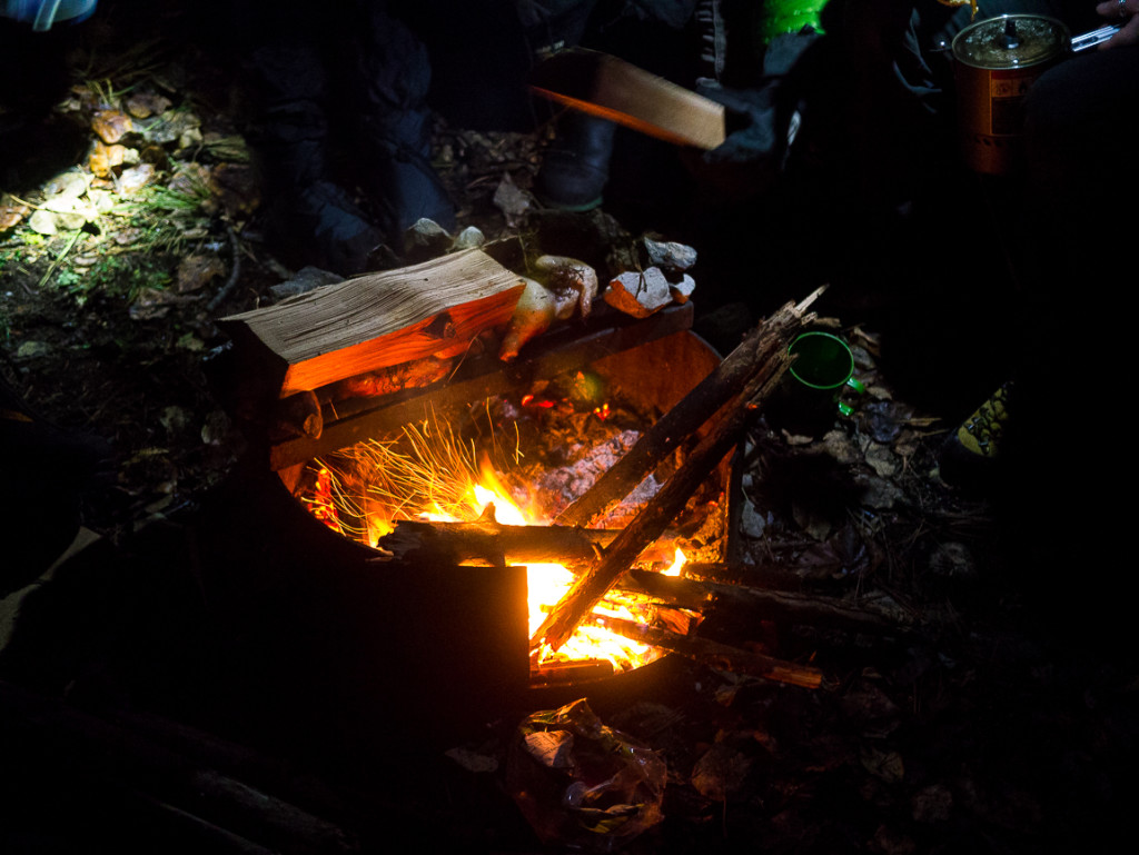 Roast chicken on the fire