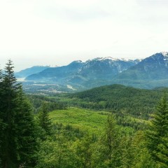Running the Squamish 50 – 50 Mile
