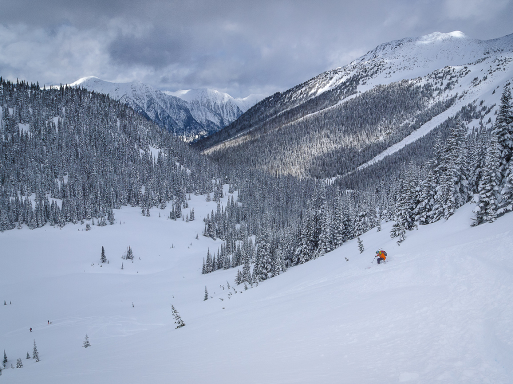 Getting some turns in near the treeline