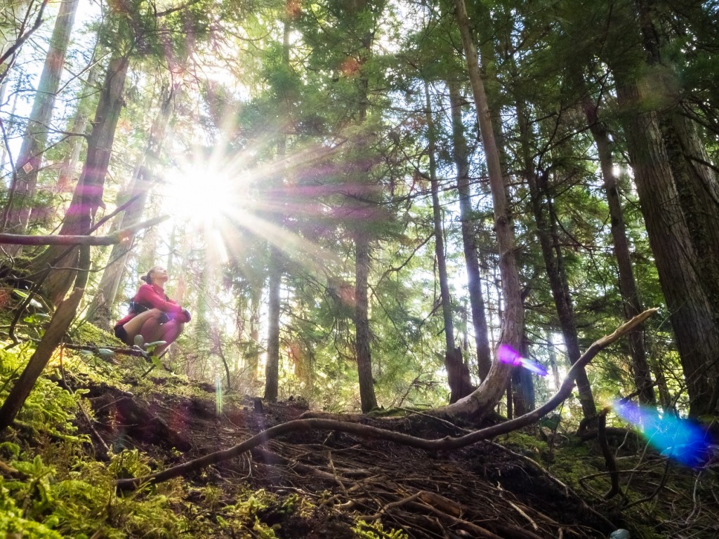 Sea to Summit Trail