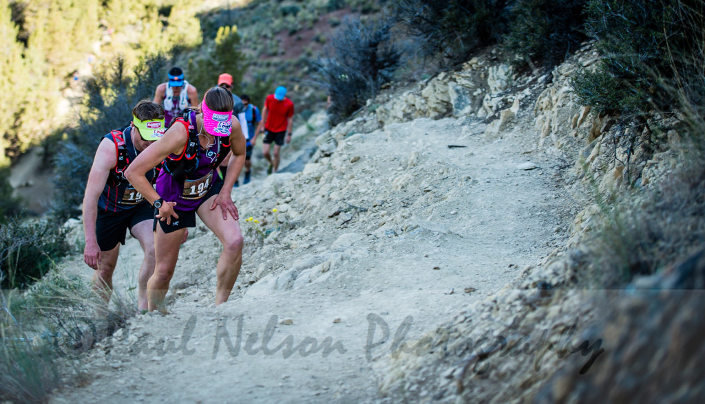 Copyright Paul Nelson Photography