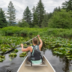 Canadian Wilderness Adventures: Canoe Tour