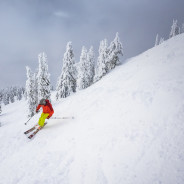 Revelstoke Mountain Resort Skiing