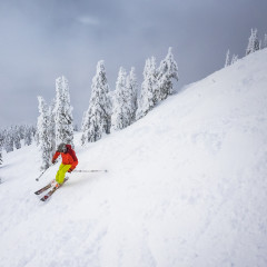 Revelstoke Mountain Resort Skiing