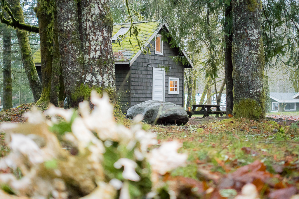 Sunwolf Loggers Shack