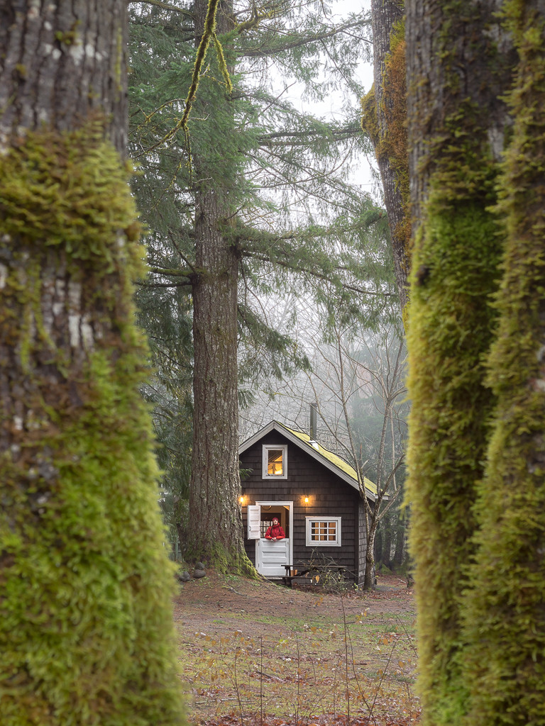 Sunwolf Loggers Shack