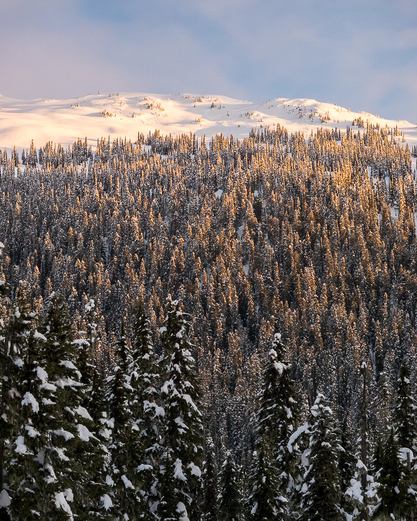 Journeyman Lodge - another beautiful view