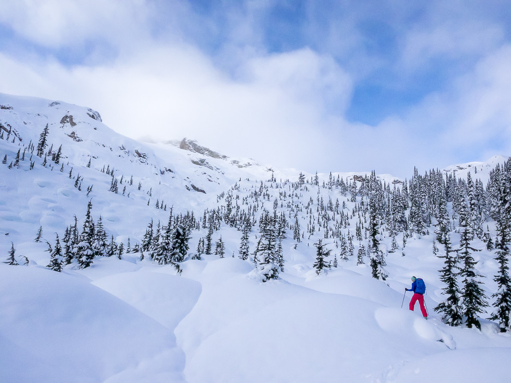 Journeyman Lodge - tree skiing