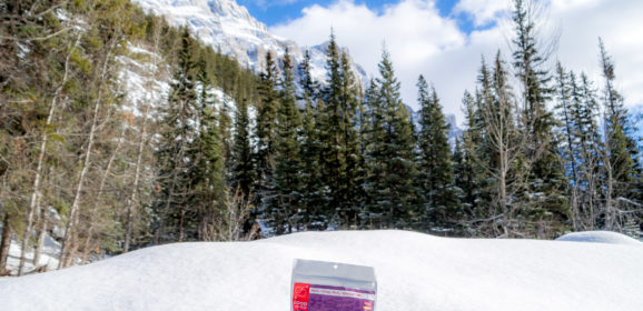 Good To-Go Dehydrated Meals Review